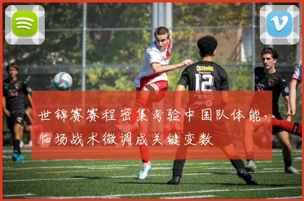世锦赛赛程密集考验中国队体能，临场战术微调成关键变数 - Kaiyun推荐